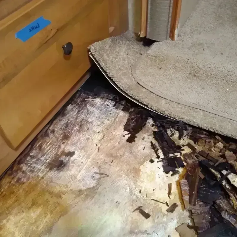 Wood Floor Water Damage in Pico Rivera, CA